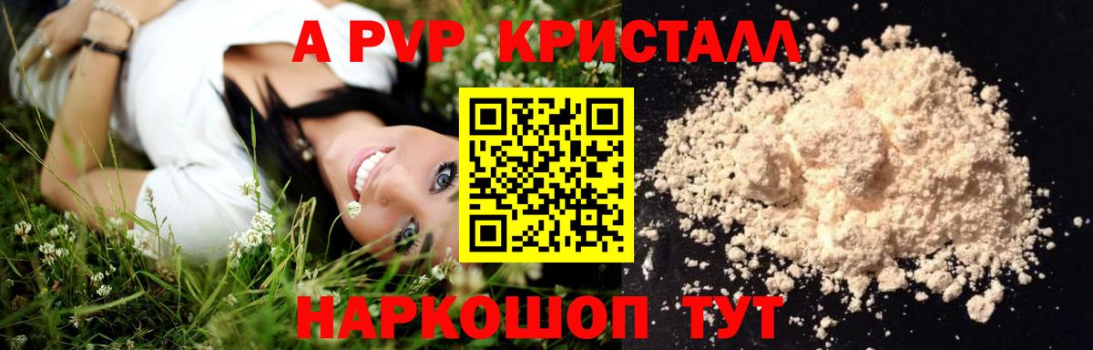 Малгобек  Alpha PVP СК КРИС  Вход с VPN  Альфа ПВП СК КРИС 