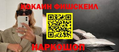 шишки Дубна