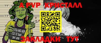 шишки Дубна