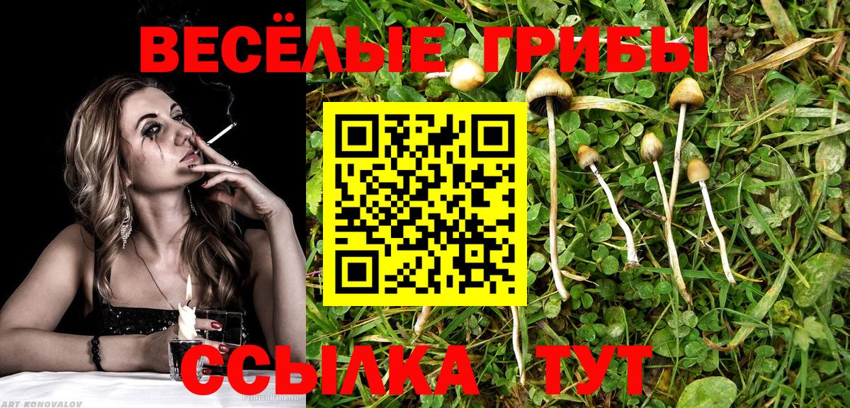 Галлюциногенные грибы ЛСД Малгобек