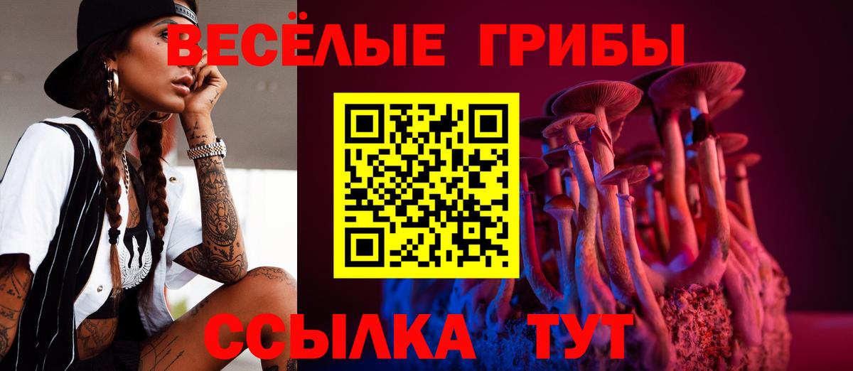 Галлюциногенные грибы Cubensis  Галлюциногенные грибы Psilocybine cubensis  Малгобек  Вход с VPN 